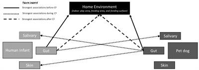 Microbial associations and transfers across the One Health Triad effects on human and animal adiposity and temperament: a protocol for an observational pilot study